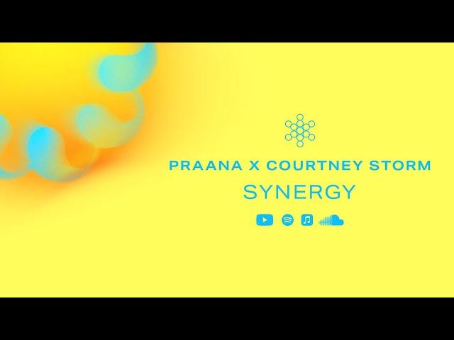 PRAANA & Courtney Storm - Synergy