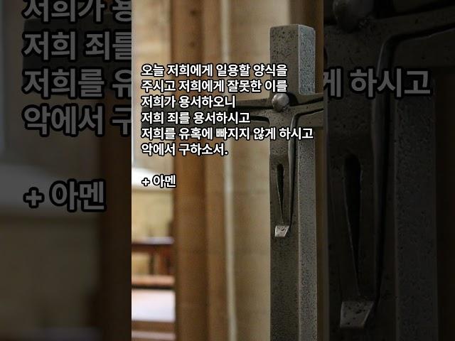가톨릭 기도문, 주님의 기도#shorts #천주교 #가톨릭 #주기도문