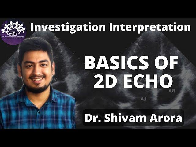 Basics of 2D ECHO