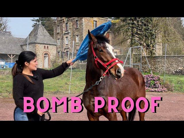 The Chateau Horse -  Lets Make Her Bomb Proof!