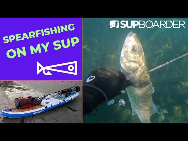 Spearfishing with my SUP / Reuben's blog