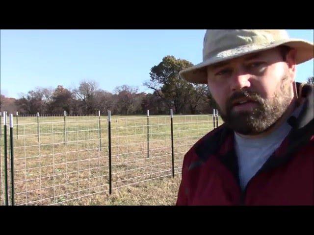 How to build a sheep pen