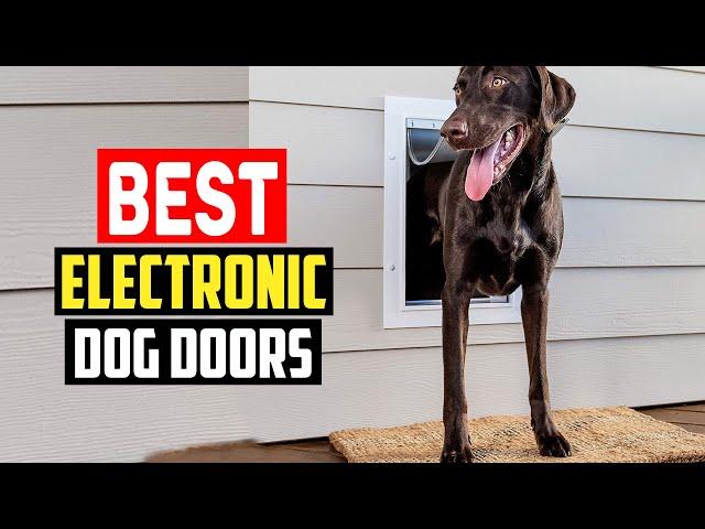 Top 5 Best Electronic Dog Doors in 2023