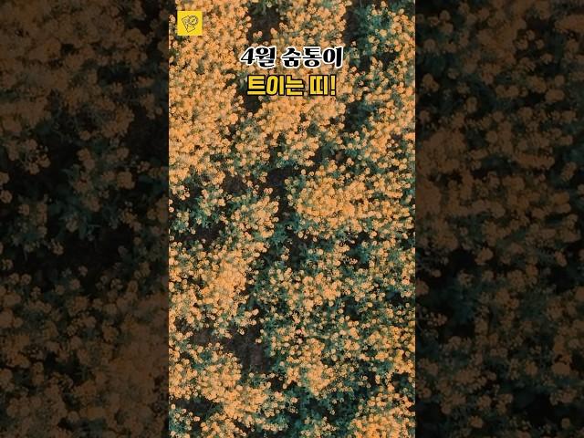 4월 숨통이 트이는 띠  #오늘의운세 #풍수 #사주 #띠별운세 #행운
