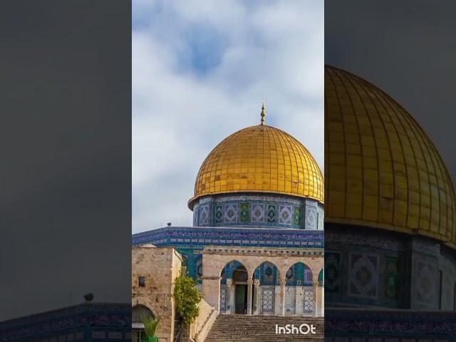 ١١ نوفمبر ٢٠٢٤