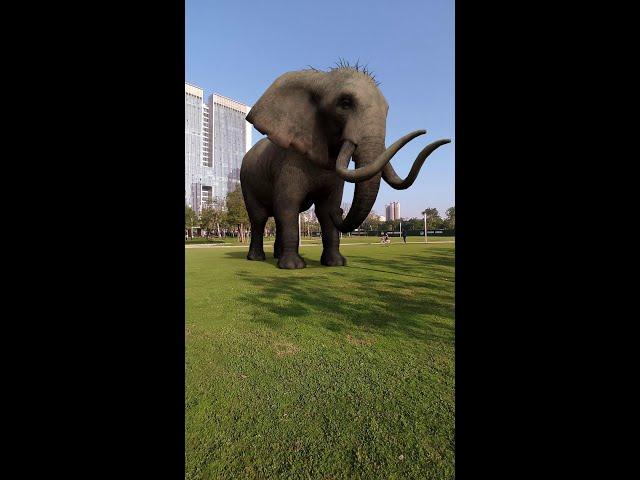 Elephants in the park# Elephants# Effects