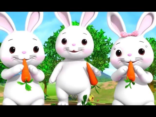 Baby Rabbit Baby Duck Funny Children's Music - Mommy Why