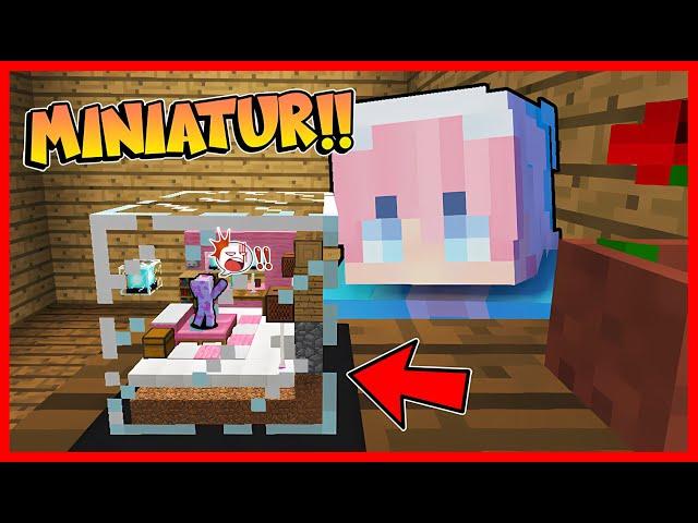 MOMON MASUK KEDALAM MINIATUR KACA DI MINECRAFT !! Feat @sapipurba Minecraft