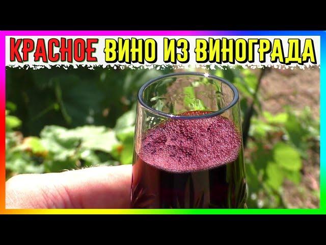  Semi-Sweet red Wine made from Dark Grapes 
