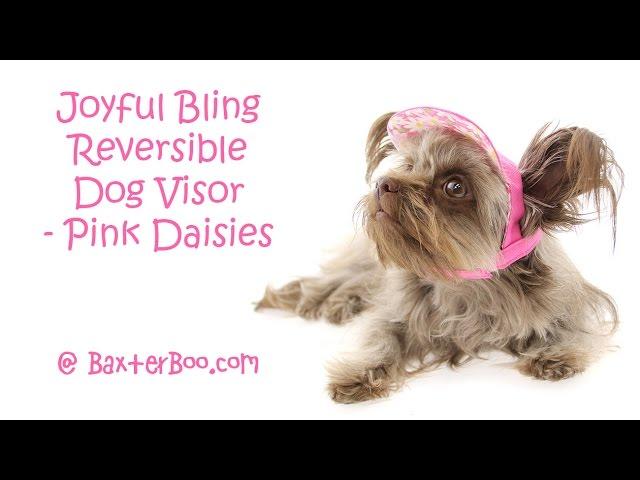 Joyful Bling Reversible Dog Visor - Pink Daisies