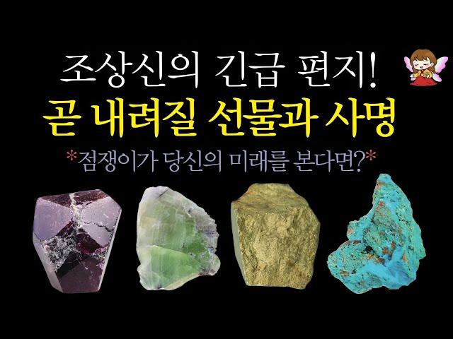 [타로]🟣조상신의 편지당신이 받게 될 깜짝 선물과 사명 | 용한 점 또 왔어요#타로운세 #운세타로