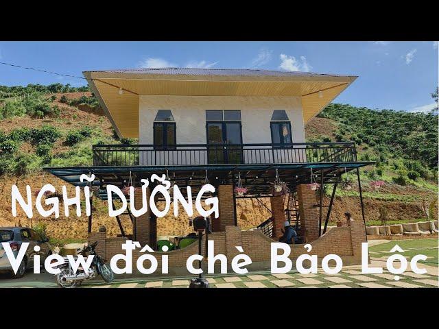 Bán đất-Nghĩ dưỡng view đồi chè tại Bảo Lộc Lâm Đồng, dt 5.259m2, view đồi đẹp kết hợp không khí mát