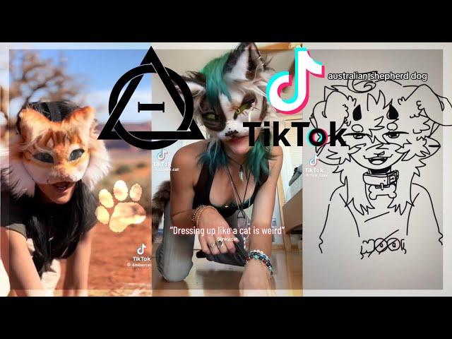 Therian and Quadrobics TikToks || Compilation 🪱🪲|| Alterhumans of TikTok #87