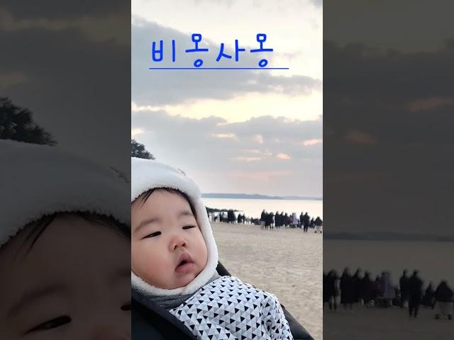 이번생은 매년 1월1일 엄빠한테 해돋이 명소 찾아 끌려다닐듯#첫 일출#새해#해돋이