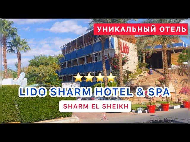 УНИКАЛЬНЫЙ ОТЕЛЬ В ШАРМЕ ‼️СВЕЖИЙ ОБЗОР LIDO SHARM  Hotel & Spa 4* /