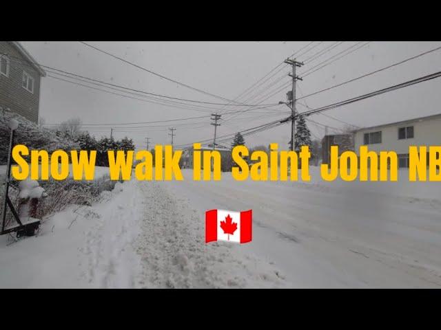 Christmas Eve 2024 snow walk | Saint John NB 