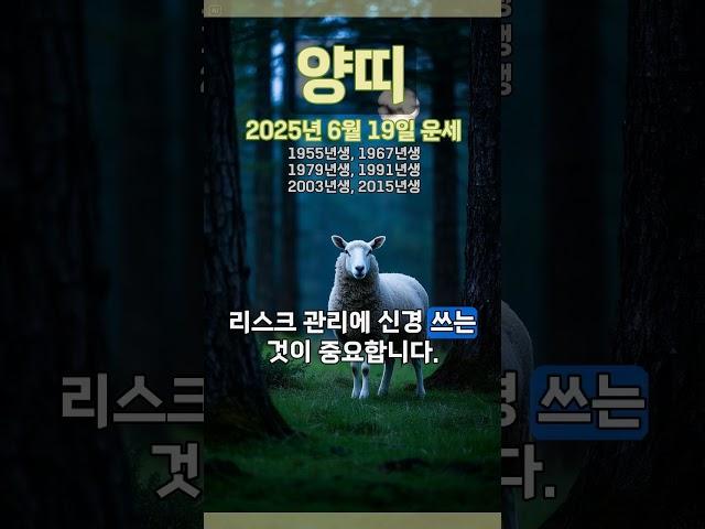 [2025년 6월 19일 양띠 오늘의운세] 이기고 있을 때 더 앞서나가도록 노력해야 한다. #양띠 #운세 #오늘의운세 #토정비결