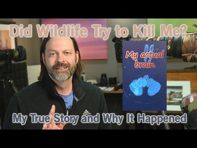 Did Wildlife Photography Try to Kill Me?