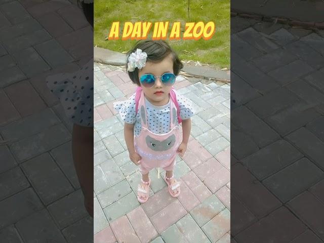 enjoy zoo ️️