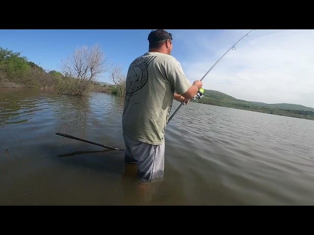 Free Spirit CTX carp fishing