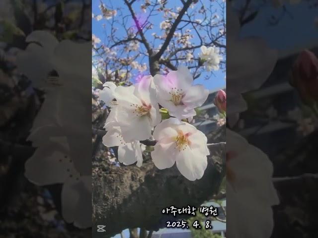 봄봄봄Ⅰ