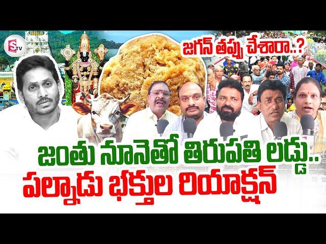 Tirumala Laddu : Palnadu Srivari Devotees Reaction On Tirumala Laddu Controversy | Latest Updates