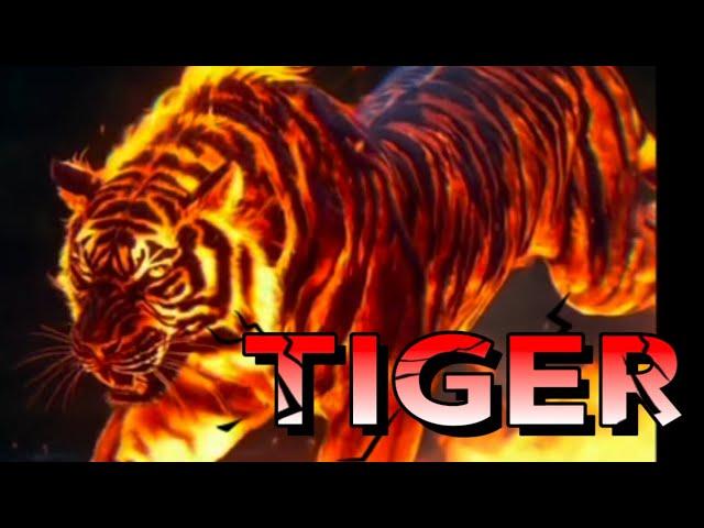 Claw Your Way to Mastery: Tiger Kung Fu Tutorial"