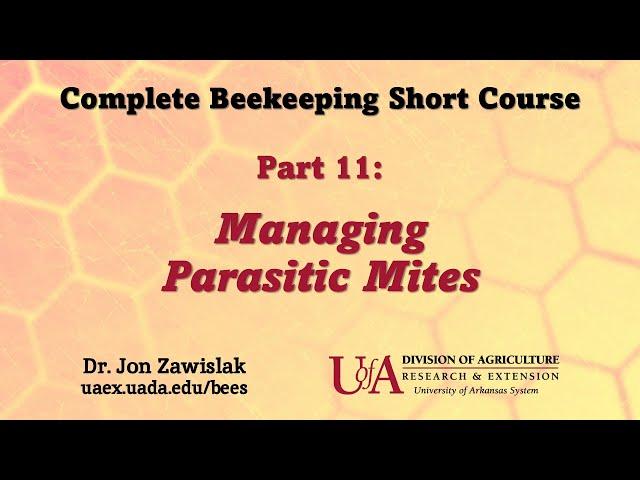 Part 11: Managing Parasitic Mites