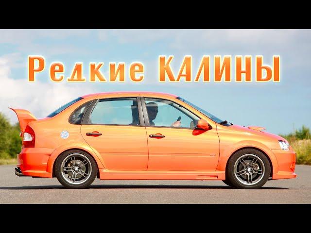 Самые РЕДКИЕ ЛАДЫ КАЛИНЫ