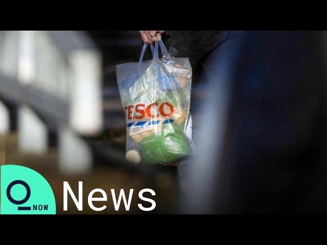 A Plastic Bag’s 2,000-Mile Journey Shows the Messy Truth About Recycling