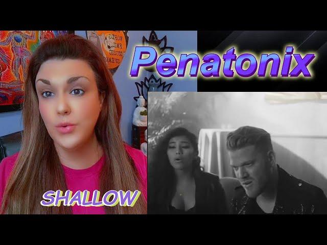 First reaction ~Pentatonix ~ Shallow