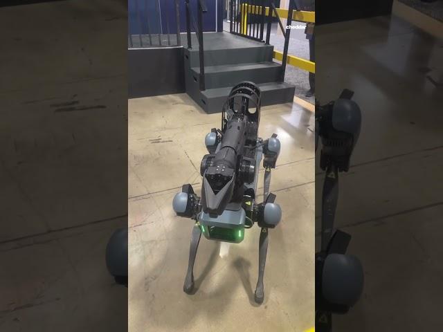 Boston Dynamics’ Spot at AUSA 2024