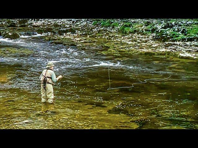 Oliver Edwards Demonstrates Dry Fly Fishing in Fast Flowing Rivers - Learn Fly Fishing (Trailer)