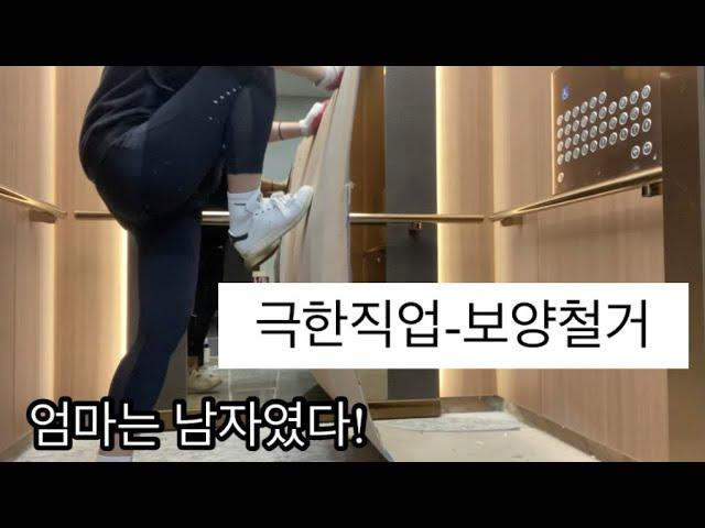 극한직업-엘리베이터보양철거편/삶의체험현장/아이셋엄마/한달간의작업/코로나19