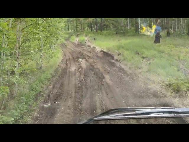Volvo лесовоз. Буксуем на сухой земле