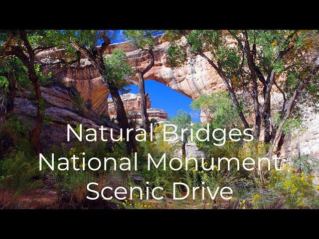 Driving Through Natural Bridges National Monument
