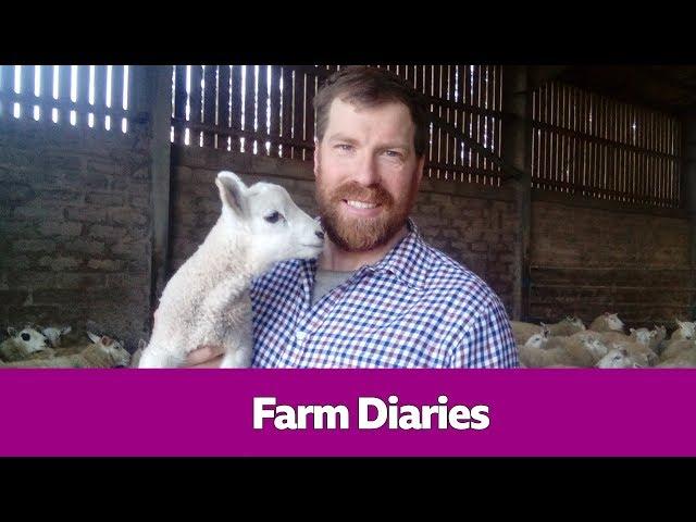 Jim Smith's Farm Diaries - Short Stuff