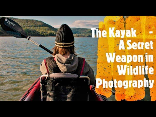 The Kayak - My Secret Weapon in Wildlife Photography