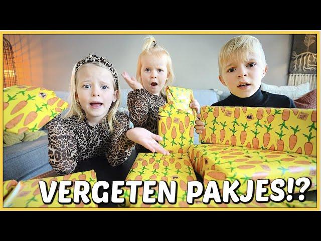 SiNTERKLAASCADEAUTJES VERGETEN OM TE TESTEN!  | Bellinga Vlog #2281