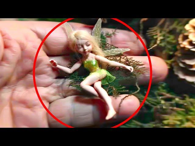 15 Real Fairies Caught On Camera And Seen In Real Life