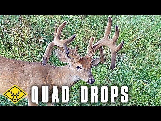 QUAD DROPS | Highs and Lows of Hunting a GIANT Buck!