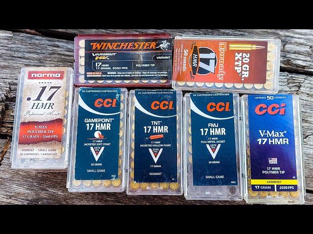 17 HMR Ammo Test - 100 Yard Groups