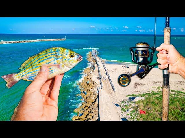 Florida Jetty Fishing: Fish Can't Resist This Bait! Catch, Clean & Cook