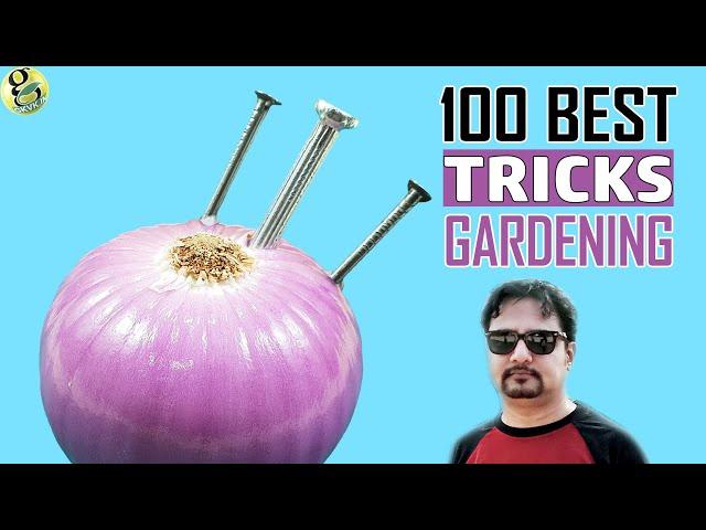 100 Best GARDENING IDEAS & HACKS by Garden Tips - Beginners to Experts