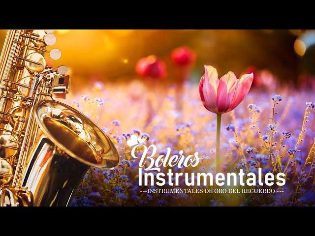 2 HORAS DE TERAPIA MUSICAL EN SAXO- AUMENTA TUS DEFENSAS- 50 INSTRUMENTALES-SAXO ELEGANTE- LIMA PERÚ