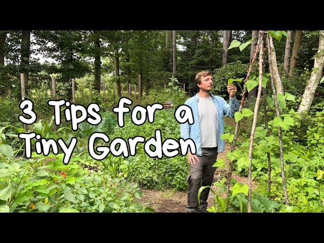 How to Grow Food In A Tiny Garden Using These 3 Permaculture Tips