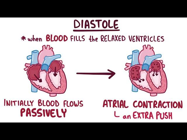 Normal Heart Sounds, provided by Osmosis from Elsevier