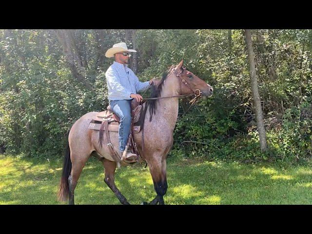 His First Trail Ride and We're Doing It ALONE!