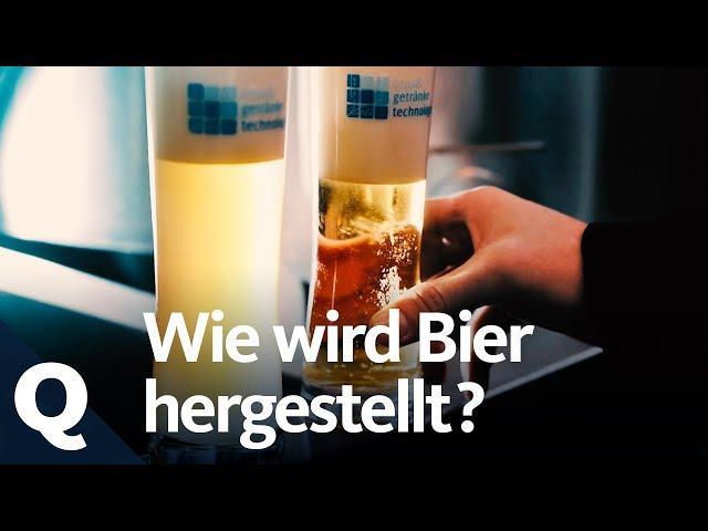 So wird Bier gebraut | Quarks