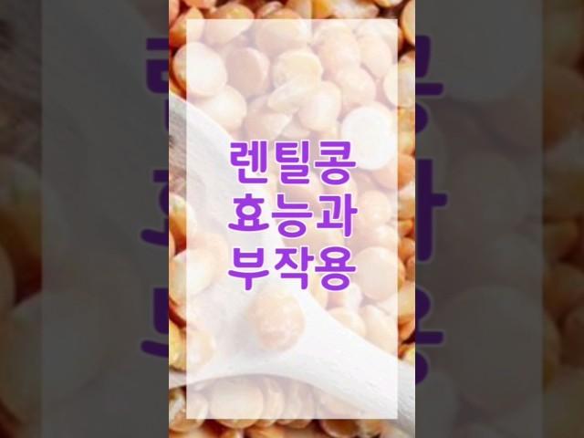 렌틸콩 효능과 부작용 알고 계세요??